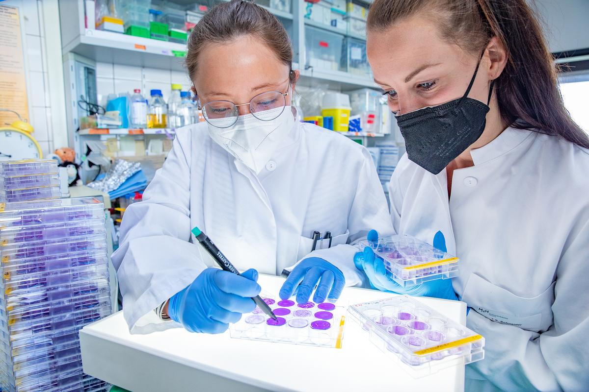 Dr. Amelie Wachs (links) und Talia Schneider stehen in einem Labor des Instituts für Virologie. Sie werten so genannte Plaque Assays aus, für die Zellkulturplatten mit Coronaviren infiziert wurden. 