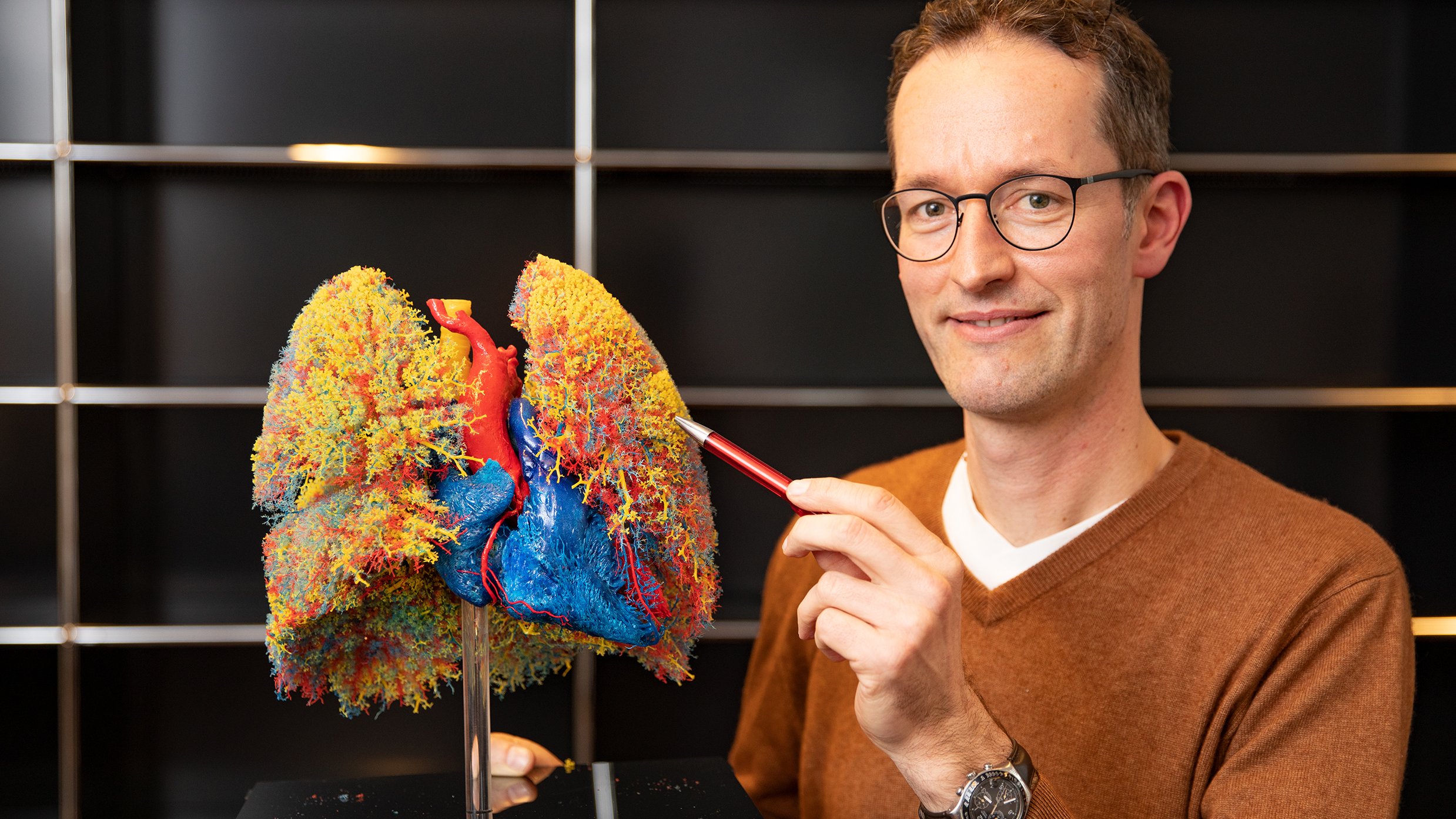 Das Foto zeigt Professor Dr. Lars Knudsen mit einem Ausgussmodell einer menschlichen Lunge,  Copyright: Karin Kaiser / MHH